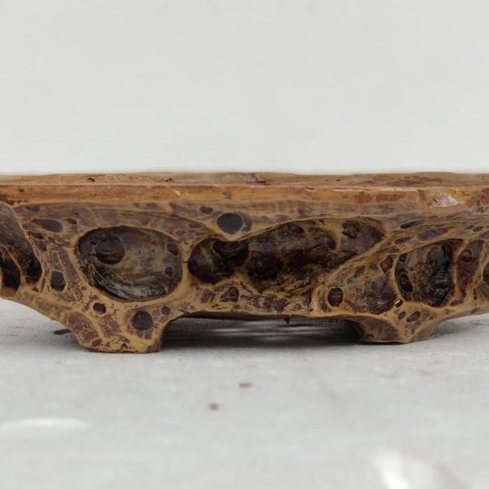 PREMIUM pot bonsai fiberglass pot relif pot unik pot ukir