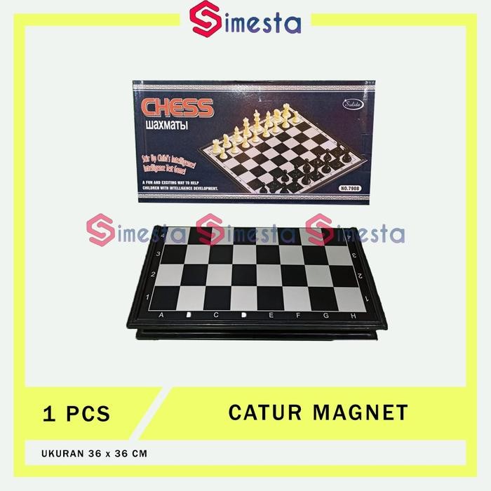 jayAbadi-- Papan catur magnet besar