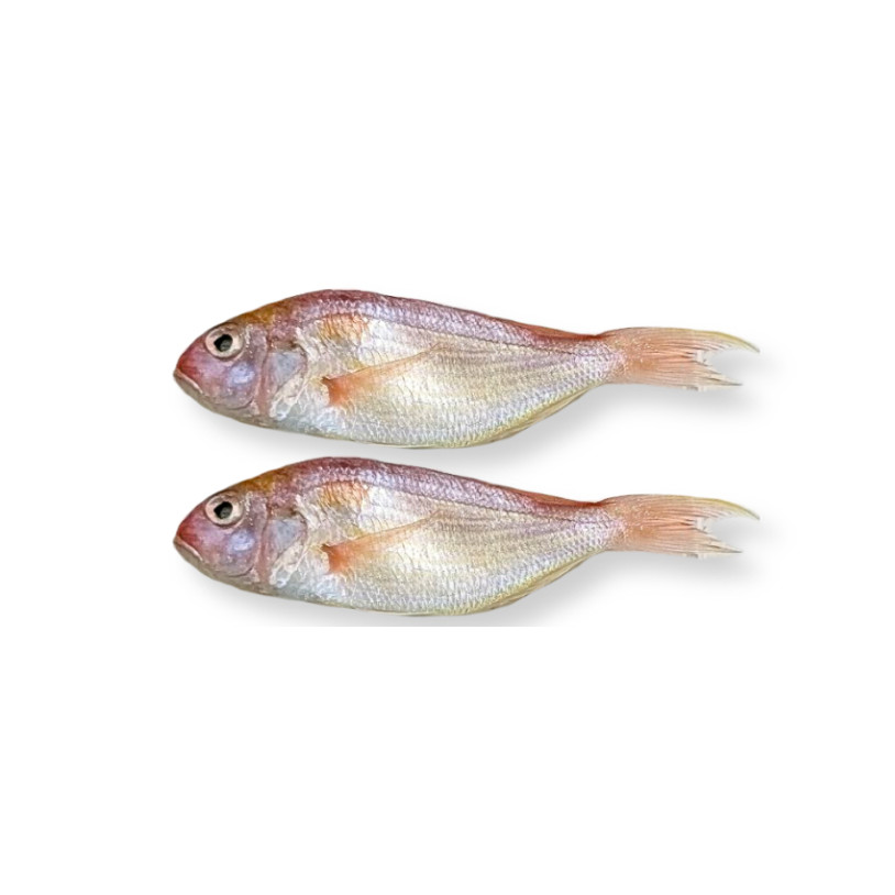 

Ikan Jangki 500 gr / Be Jangki / Hardtail Scad Fish