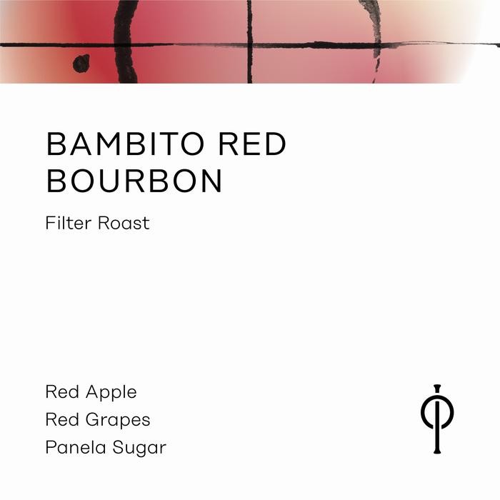 

Bambito Red Bourbon - Instinct Roastery