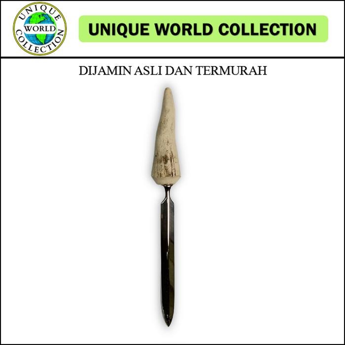 

TERLARIS! DEV8836 Stag Antler Letter Opener