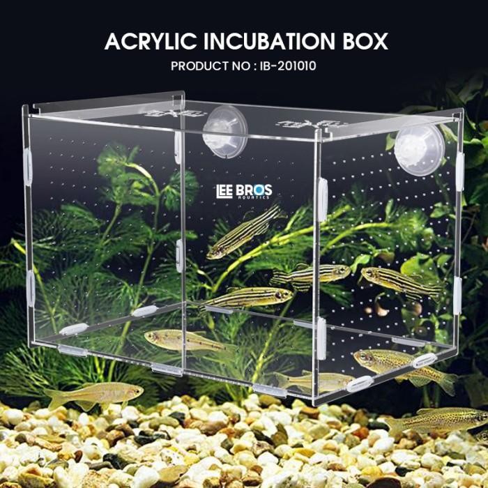 Acrylic Incubation Box / Isolation Box / Akrilik Karantina Ikan