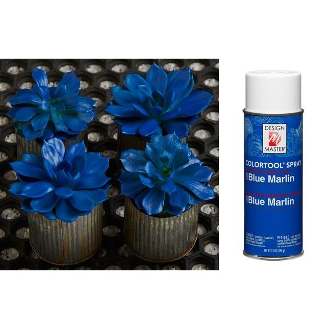 

Design Master / Floral Spray Bunga Asli/ Pewarna Bunga #Gratisongkir