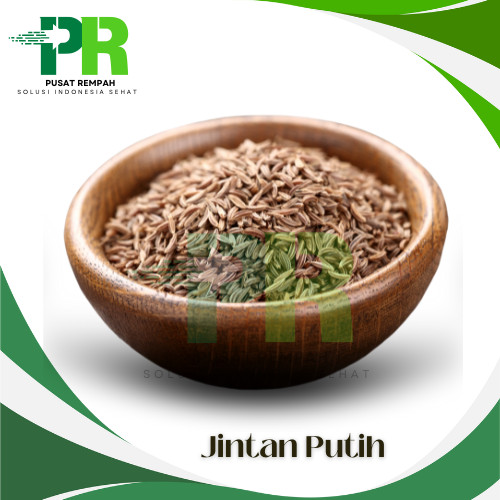 

1kg Biji Jintan Putih Utuh Alami Cumin Seed Premium / Bumbu Pelengkap Masakan Jinten Putih 1 Kilogram Pusatrempah