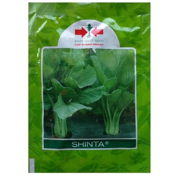 Benih Bibit Sawi Shinta 25 gram Biji Panah Merah Sayur Hijau Sayuran