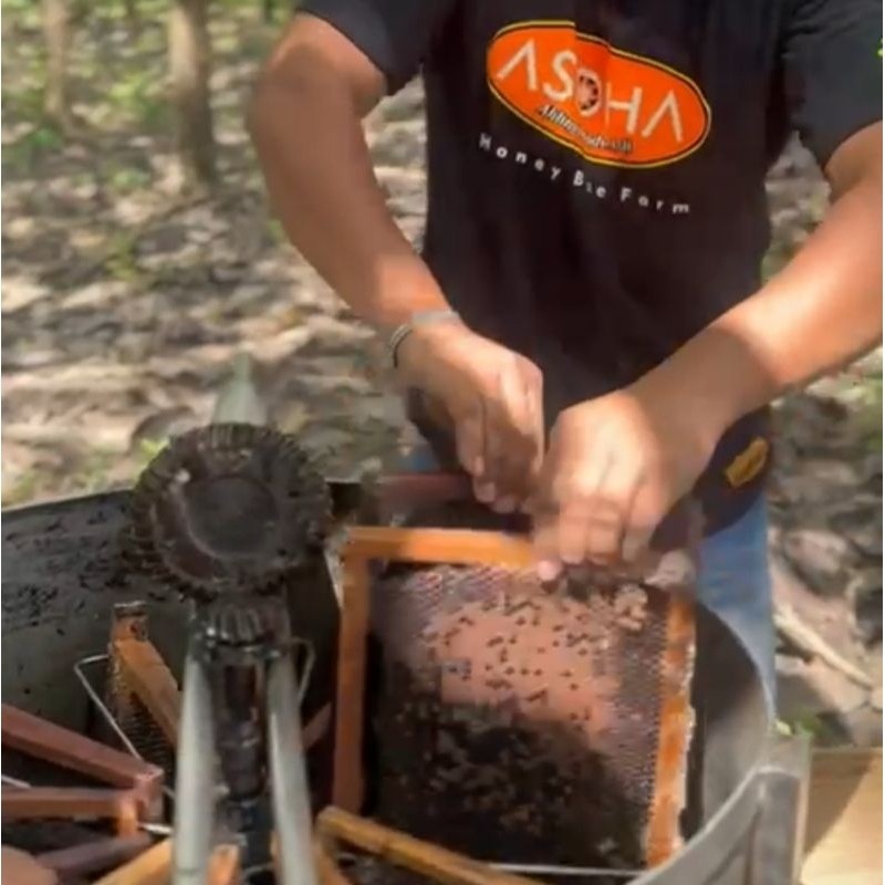 

Sega Tungtung Asoha Madu Randu Bromo 1Kg 100% Grade A Full Nektar Tdk Kristal Dikulkas Obati Asam