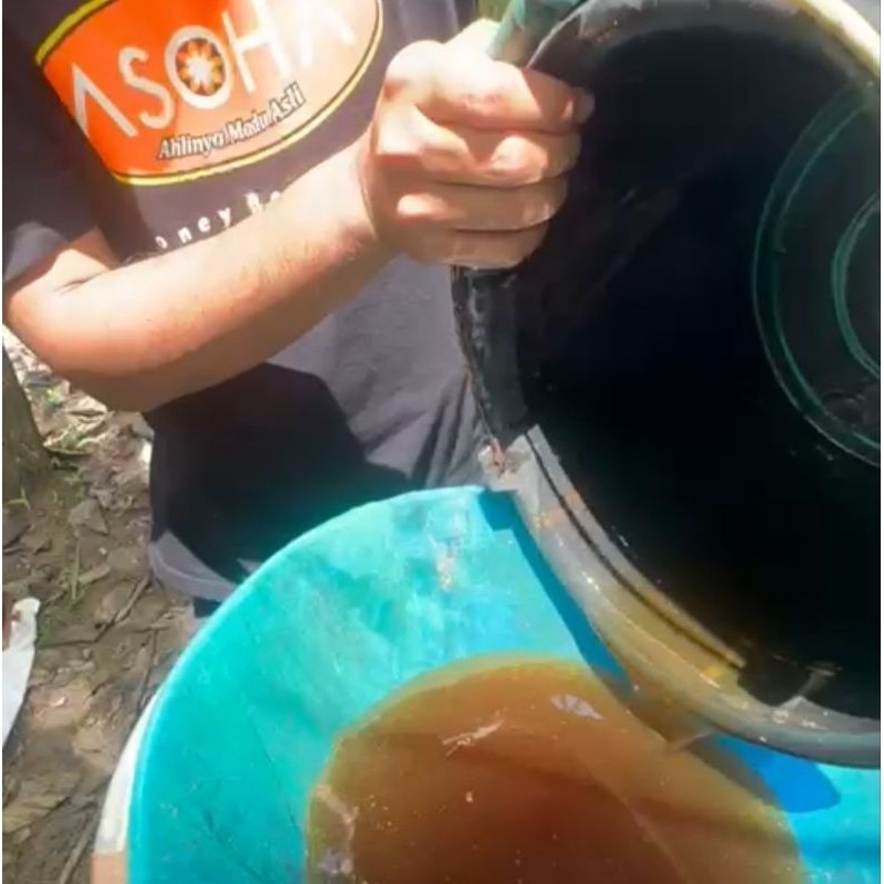 

Sega Tungtung Madu Multiflora 7Kg Harga Madu Asli Madu Murni Raw Honey Organic