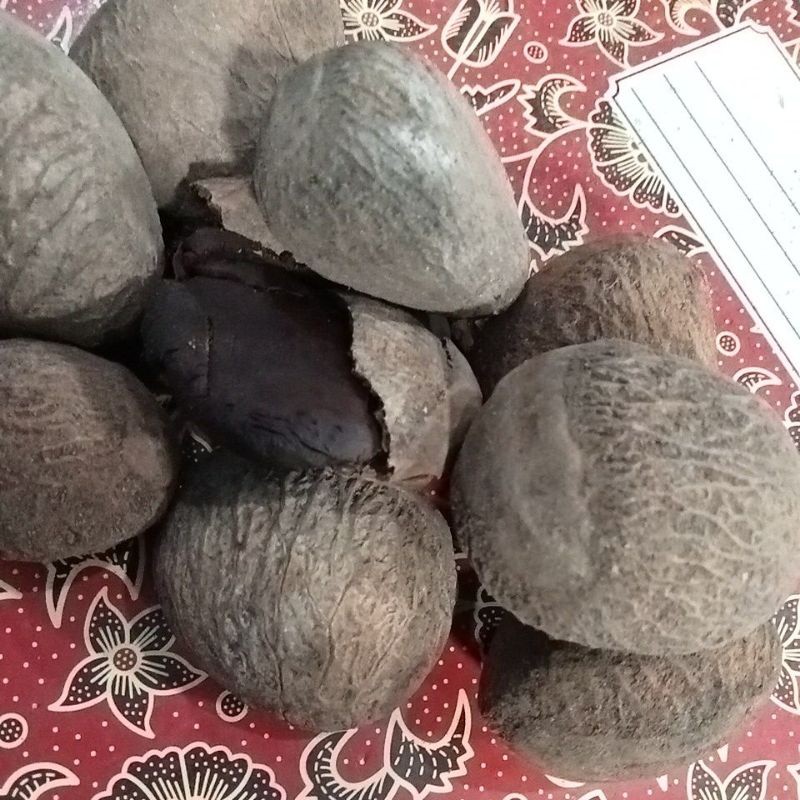 

KLUWEK /KUCUNG 1KG KERING
