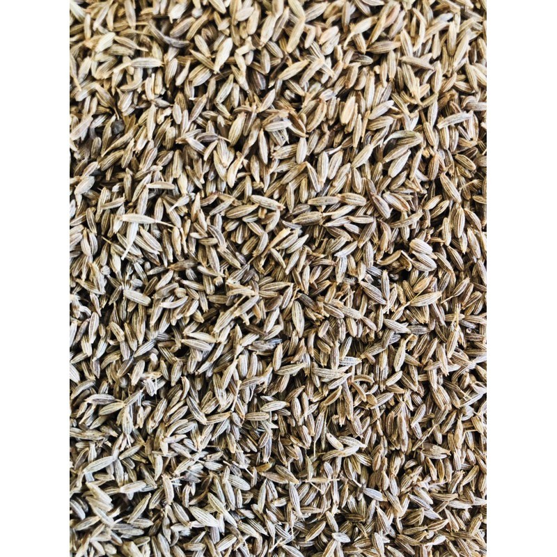 

Jintan India / Jintan Putih / Cumin Seed 1 Kg