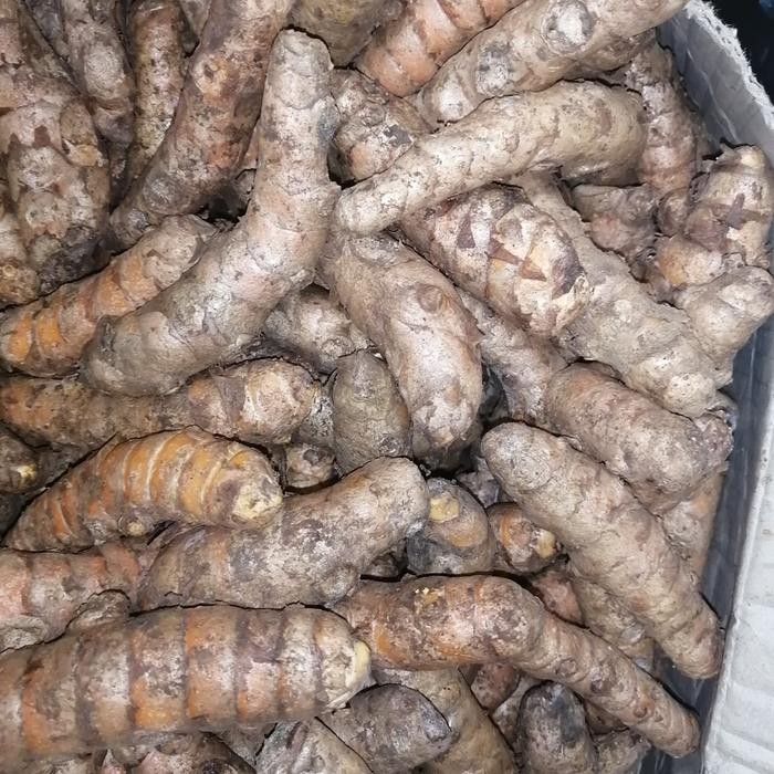 

Terlaris Promo!!! Kunyit Segar 1 Kg