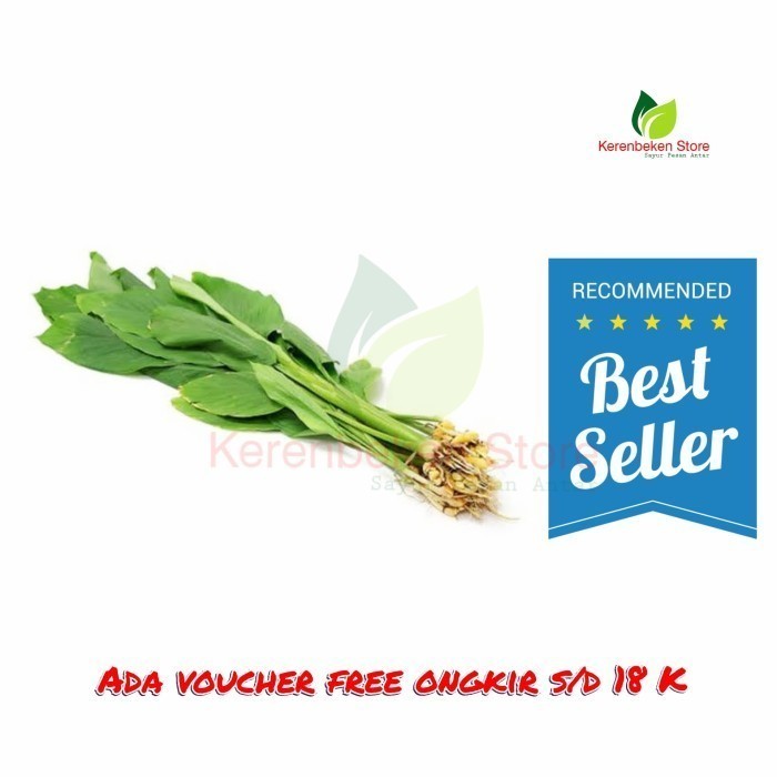 

Terlaris Daun Kunyit Segar Per Ikat Wangi Alami, Untuk Pepes, Rendang & Gulai