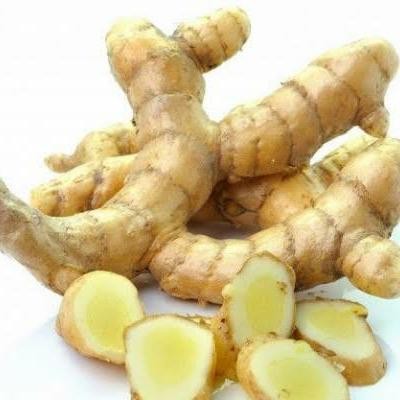 

Terlaris Cikur .Kunyit Putih