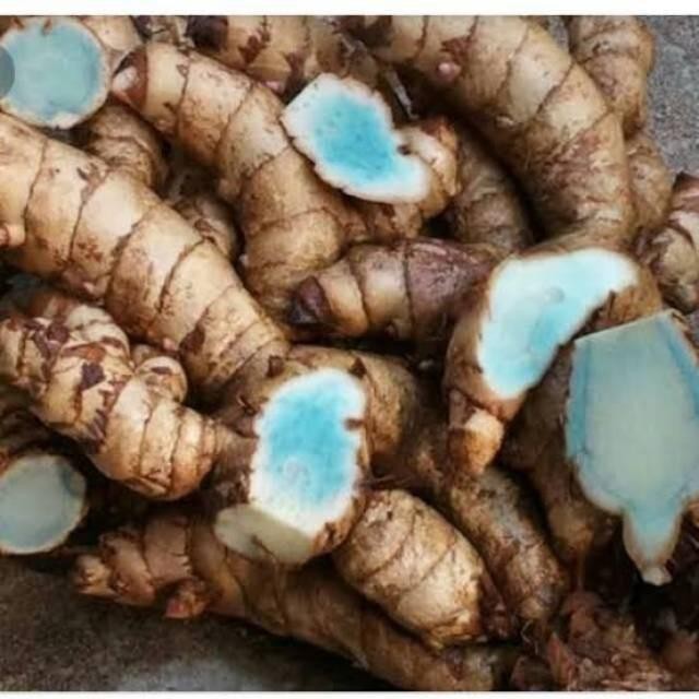 

Terlaris Kunyit Temu Hitam 1Kg Kondisi Segar Sehat Murah