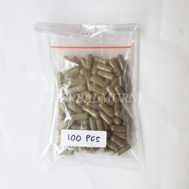 

Terlaris Bubuk Sirsak + Jinten Hitam + Keladi Tikus + Kunyit Putih Dalam Kapsul