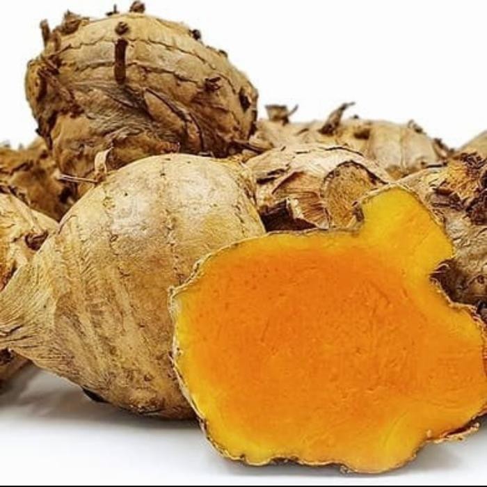 

Terlaris Temulawak Basah Segar Kunyit Temulawak 1 Kg