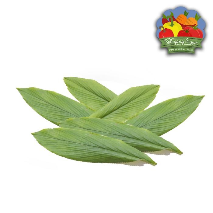 

Terlaris Daun Kunyit - Per Ikat