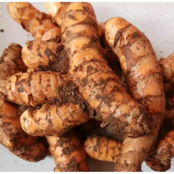 

Terlaris Kunyit Segar 1Kg Kunir Jamu Bumbu Dapur Panen Sendiri