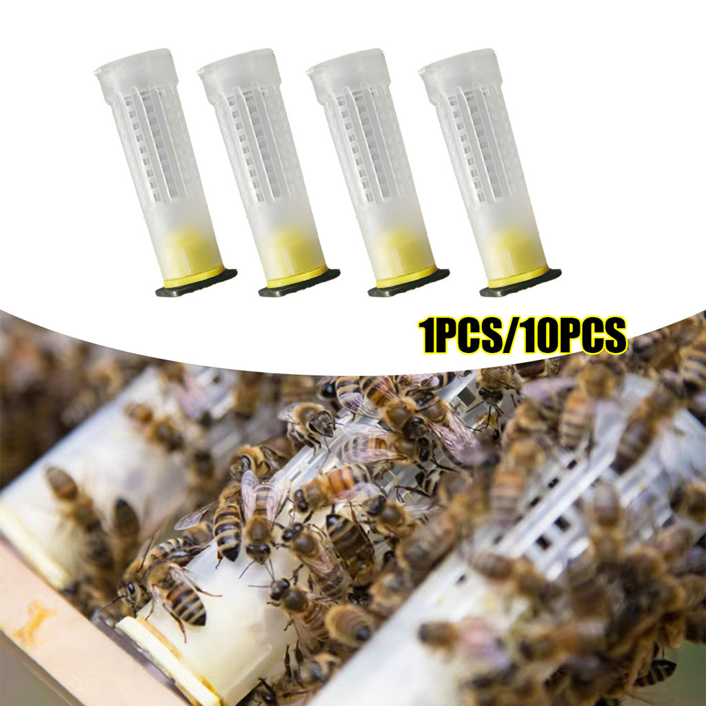 10PCS Kurungan ratu lebah apis cerana / Beekeepeing Kurungan Tawon Madu / Kandang Ratu Bulat Model