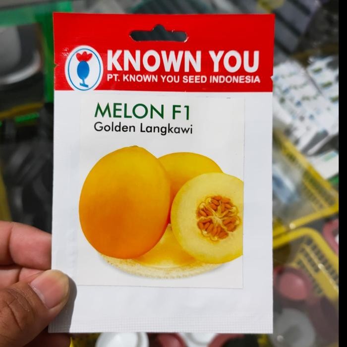 TERMURAH melon golden langkawi
