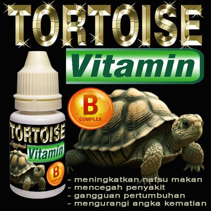 TORTOISE VITAMIN CAIR OBAT MENYEMBUHKAN GANGGUAN PERTUMBUHAN DAN KEKURANGAN B COMPLEX MENGATASI