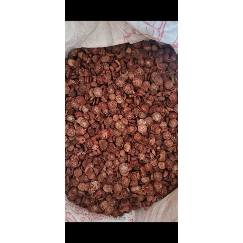 

Konter Makanan Pinang Muda Iris Kering 250Gram Obat Tradisional Alami