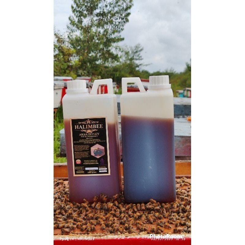 

Sensasi Lezat Madu Asli Murni Hutan Sumatra Raw Honey 1 Kg - Halimbee