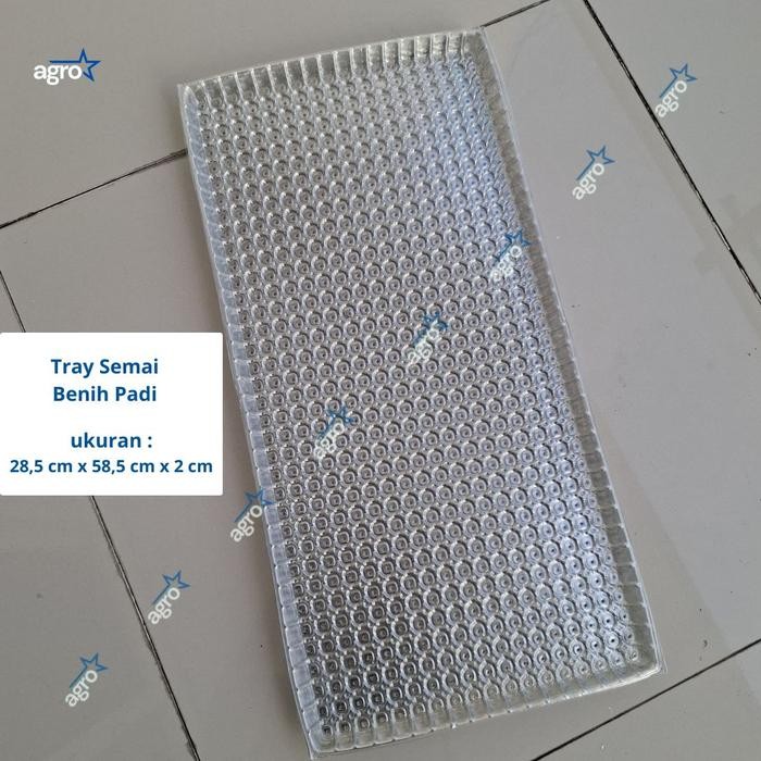 [TIPE B] Tray Semai Benih Padi / Tray Padi / Tempat Semai Padi / Nampan Semai Benih Padi