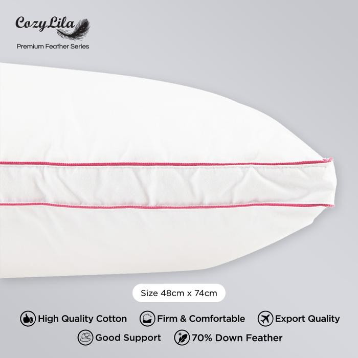 Bantal Bulu Angsa Asli 90% Down (Signature)