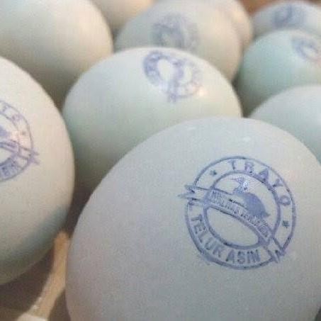 

Victory - Stempel Telur Asin Flash Warna Otomatis Tinta Permanent