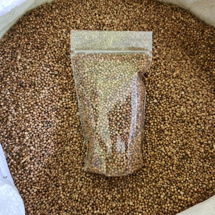 

TERMURAHH!! Ketumbar Organik 100gr - Biji Ketumbar Alami Tanpa Pemutih