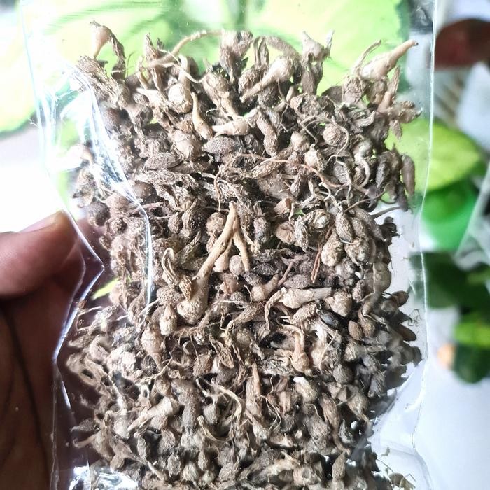 

TERMURAHH!! Kunci Pepet Kering 100gr - Temu Rapet Kering