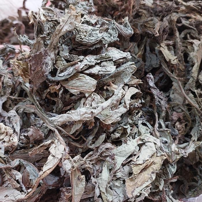 

TERMURAHH!! Daun Tempuyung Kering 500gr