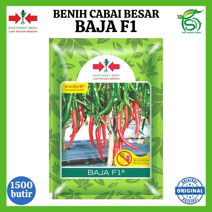 Benih Cabai Besar BAJA F1 1500 Biji - Bibit Cabe Cap Panah Merah