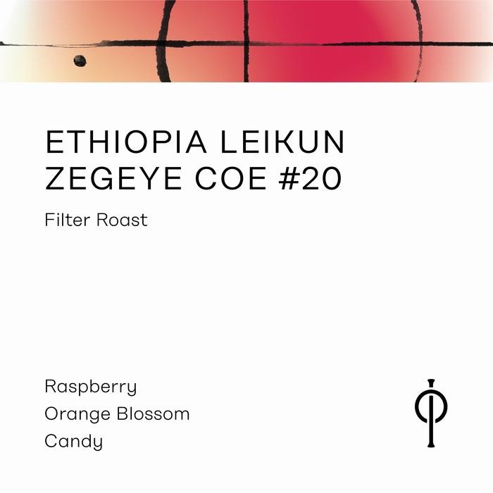 

Ethiopia Leikun Zegeye COE #20