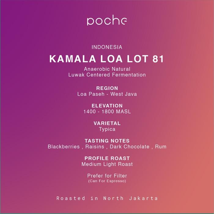 

Kamala Loa #81 Kopi Arabica