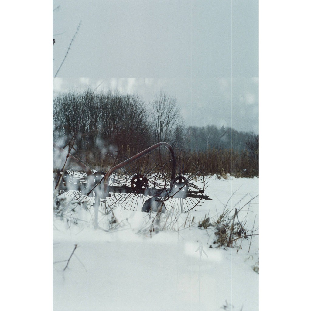 Nolan 800 Roll Film 35mm ISO 800 Color Film 36exp