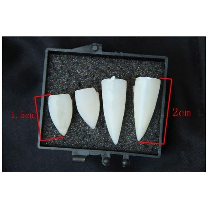 Gigi taring palsu / gigi vampire drakula hallowen