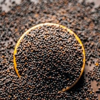 

Black Mustard Seeds 1kg / Mustar Hitam / Biji Sesawi Hitam 1kg