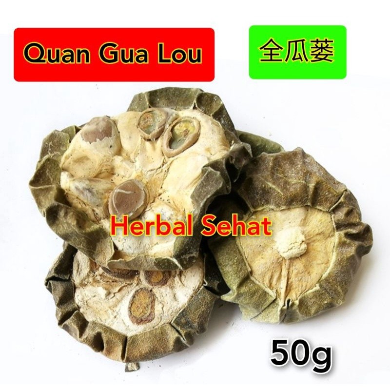 

Quan Gua Lou 50g Semen Trichosanthis Kirlowii PREMIUM