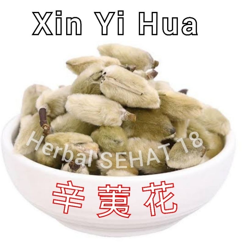 

Xin Yi Hua Magnolia Flower Flos Magnoliae Lilliflorae PREMIUM