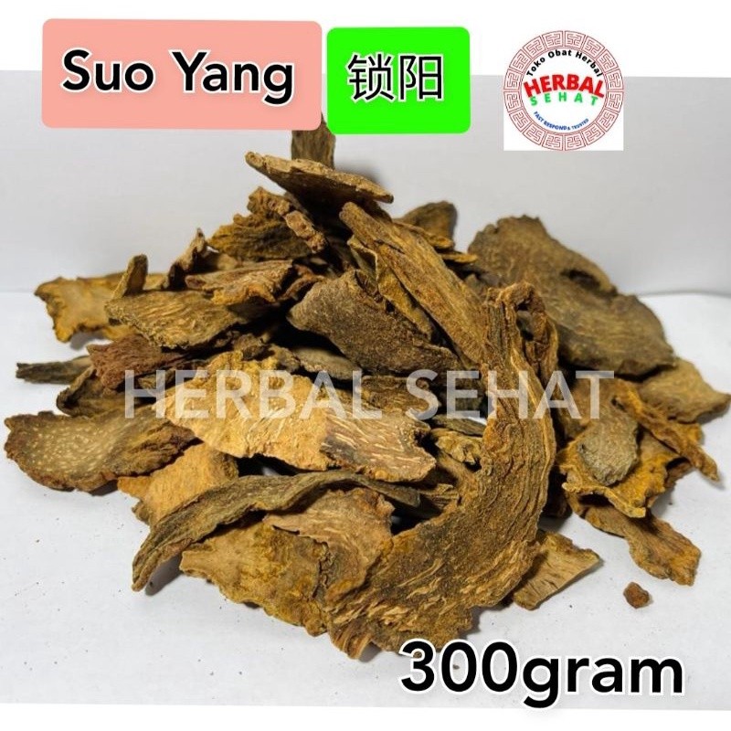 

300 gram Suo Yang Pian Jiu Suo Yang So Jong Herba Cynomorii Songarici PREMIUM