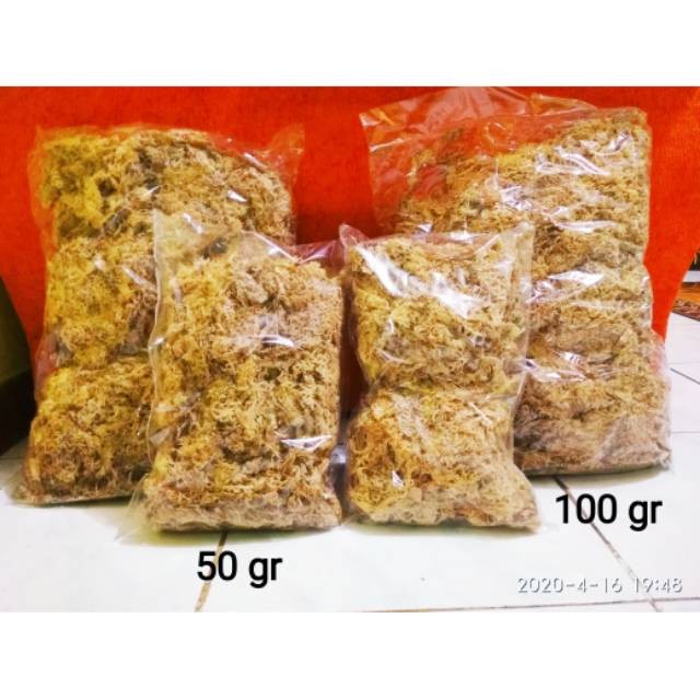 Media Sphagnum Moss 50 Gram Spaghnum Spagnum Mos Lumut Putih