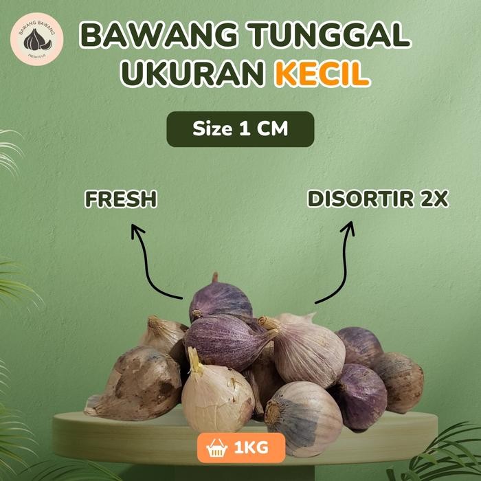 

Bawang Putih Tunggal Lanang Mini 1 Cm 1Kg