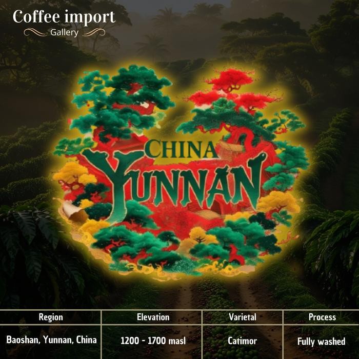 

Yunnan China Fully Washed Green Bean Import Arabika 500Gr Terbaru