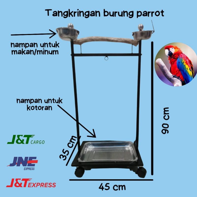 Tangkringan burung parrot , Tangkringan burung kakatua , tangkringan beo