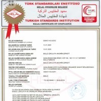 

WHYN!! DUBAI CHOCOLATE COKLAT DUBAI BOLCI IMPORT ORIGINAL TURKI 100 % HALAL - 100 GRAM
