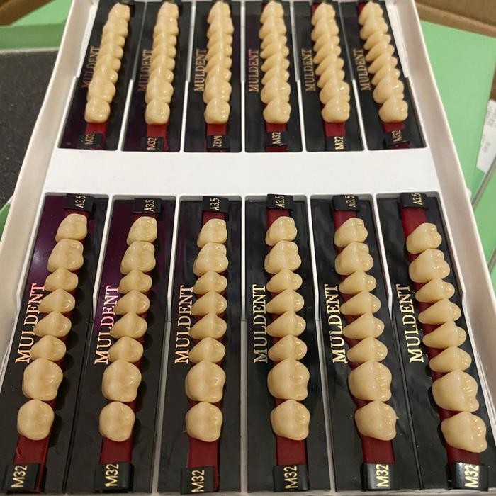 Gigi Muldent Geraham Atas -Gratisongkir