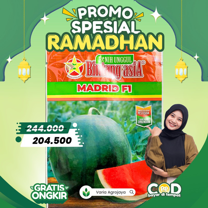 Flowersbloom Benih Bibit Semangka Madrid F1 - Bintang Asia