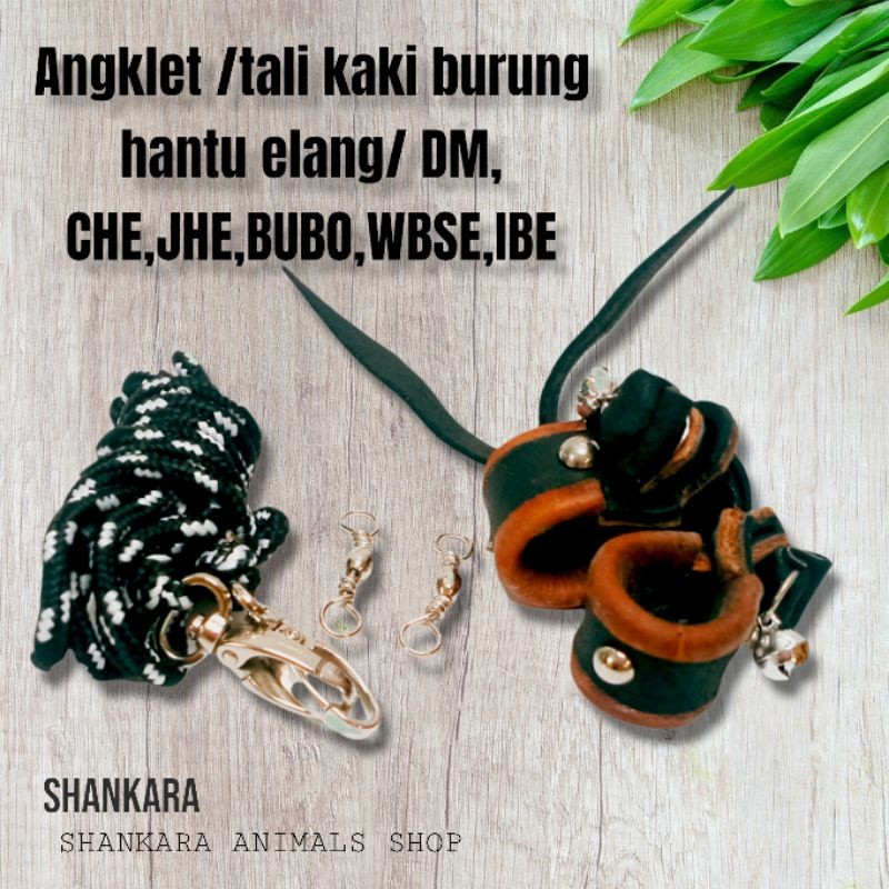 Angklet /tali kaki burung hantu elang/ DM, CHE,JHE,BUBO,WBSE,IBE