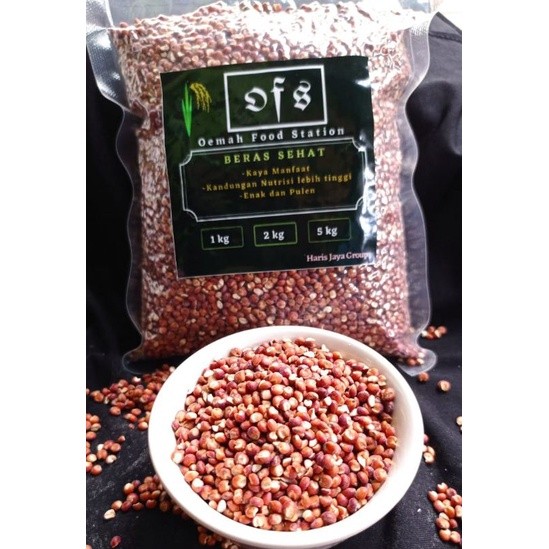 

Beras Sorghum Merah Organik 1KG Kaya Nutrisi